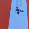 Occasion Planche RRD Air Beluga 5.5 (110 litres) - 2022