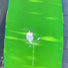 Occasion Fanatic Skate TE 101 - 2015