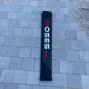 Occasion Foil Carbon Moses Vento - W679/W790/1100