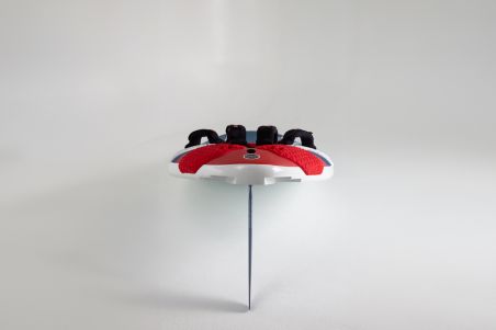 STARBOARD - Carve Starlite Carbone 2024